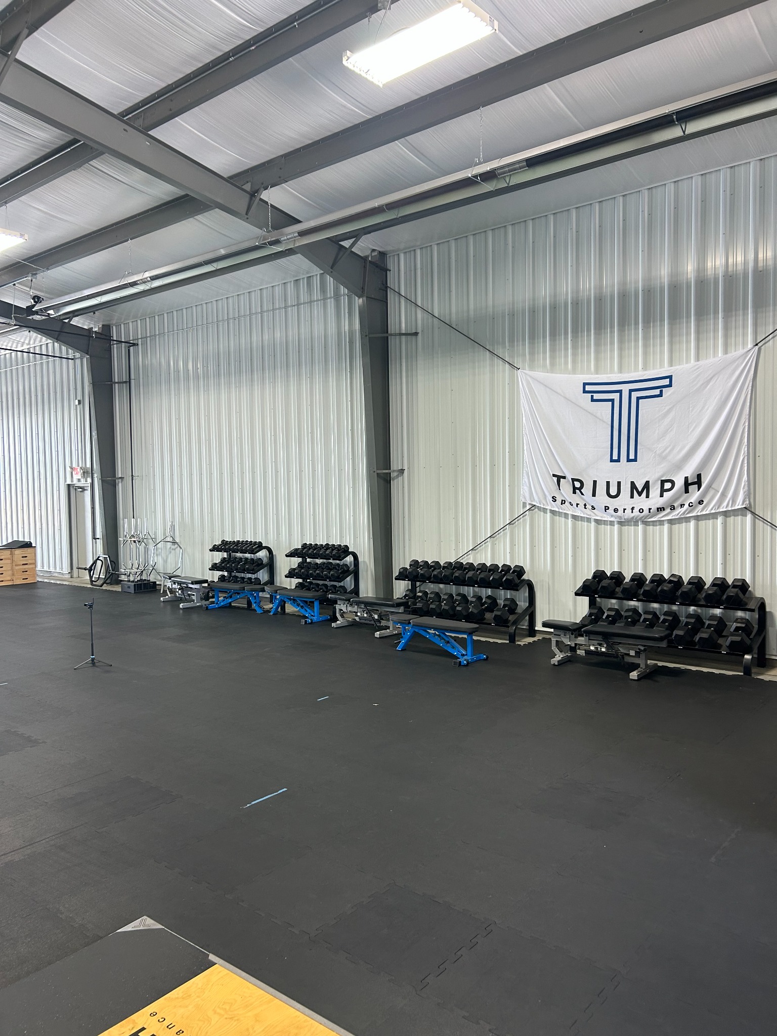 Open training area with dumbbells and benches